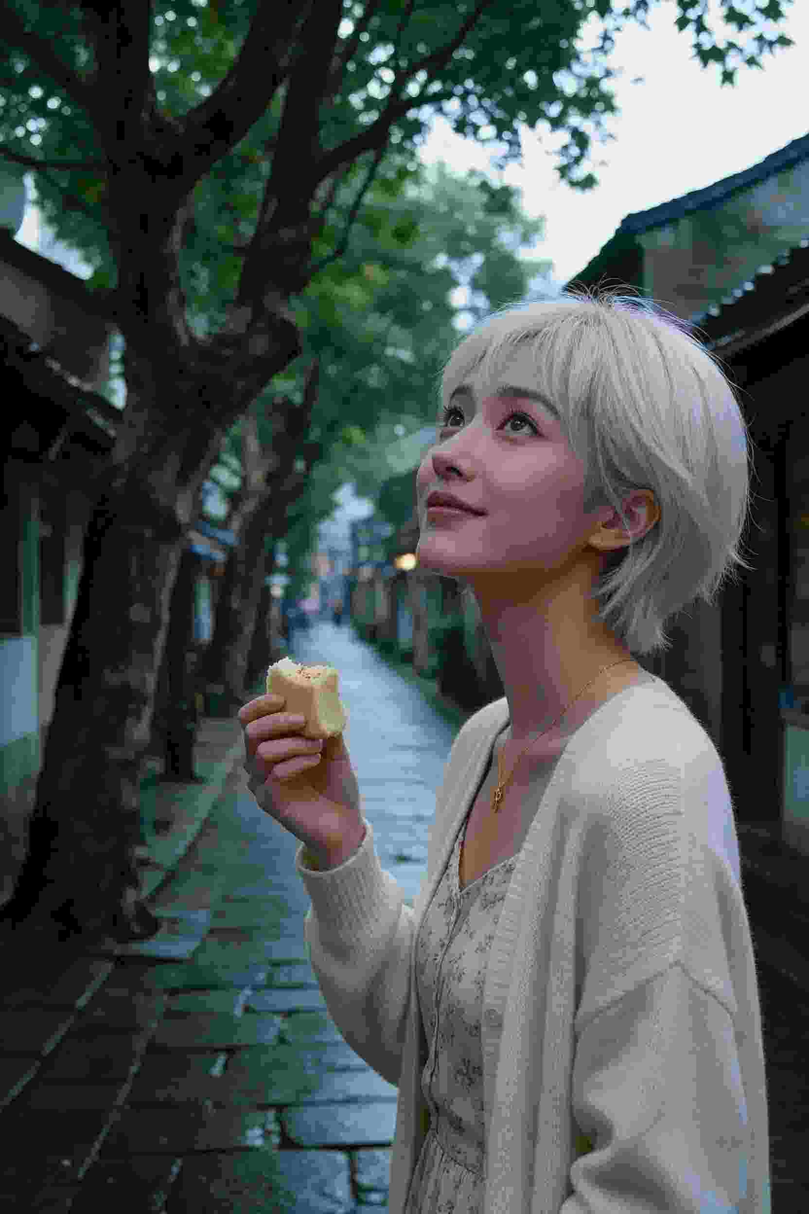 完美世界